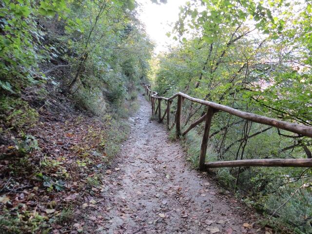 über den sehr gut erstellten Waldweg, verlieren wir nun dauernd an Höhe