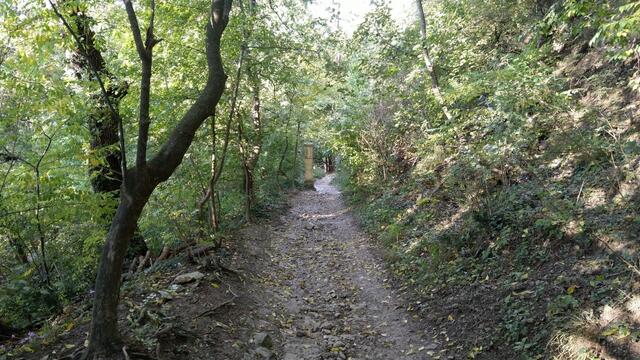 der Waldweg war früher der Kreuzweg, der die Kirche San Martino und Madonna di San Luca verband