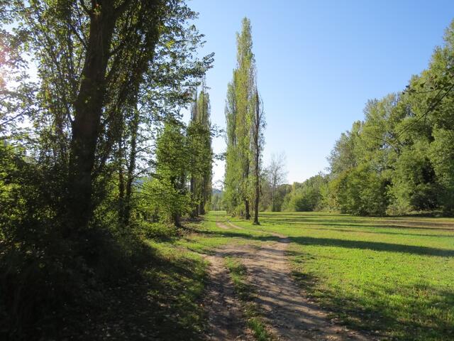 etliche Kilometer führt der Wanderweg nun durch die Auenlandschaft des Fluss Reno