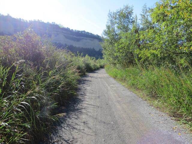 der Wanderweg verlässt nun die Auenlandschaft