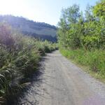 der Wanderweg verlässt nun die Auenlandschaft