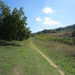 weiter geht unsere Wanderung. Unser nächstes Ziel heisst nun Monte Adone