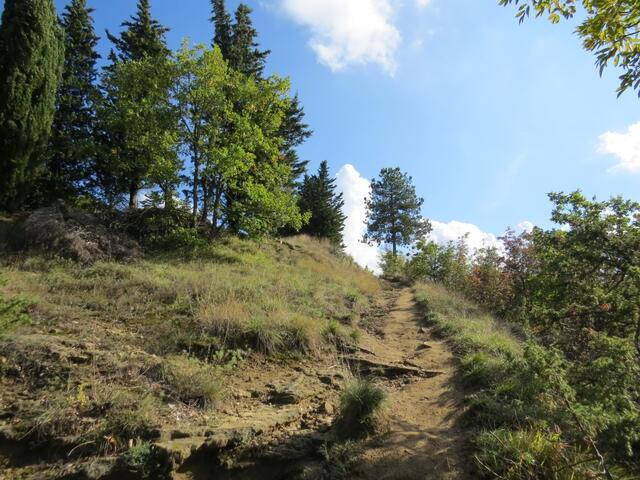 der Wanderweg steigt nun langsam aber sicher an