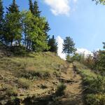 der Wanderweg steigt nun langsam aber sicher an