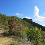 am Horizont taucht der Monte Adone auf