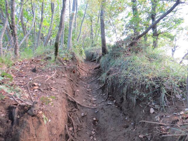 der Monte Adone ist ein beliebter Ausflugsberg. Gut ersichtlich am Wanderweg