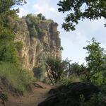 Blick hinauf zum Monte Adone. Wegen seiner strategischen Position, war er im 2.Weltkrieg stark umkämpft