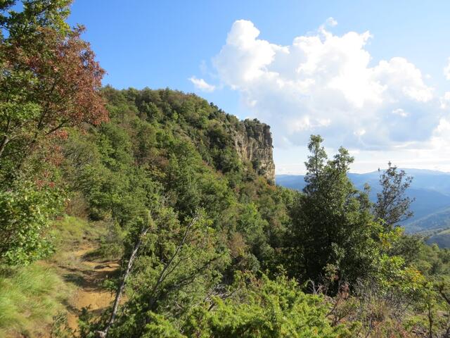 wir kommen dem Monte Adone immer näher