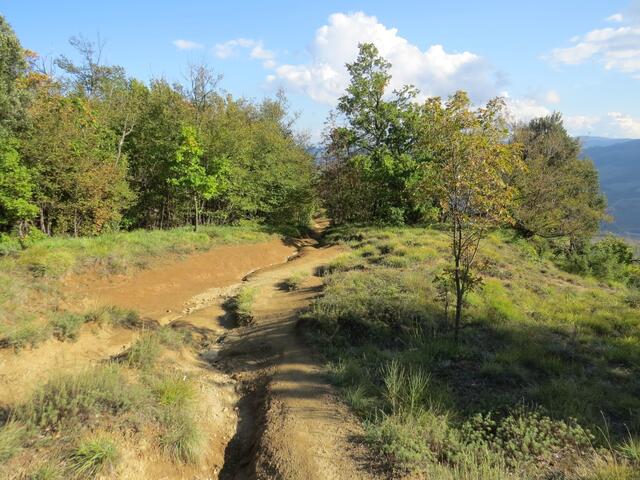 der Bergpfad auf dieser Seite des Monte Adone ist wesentlich einfacher als der beim Aufstieg