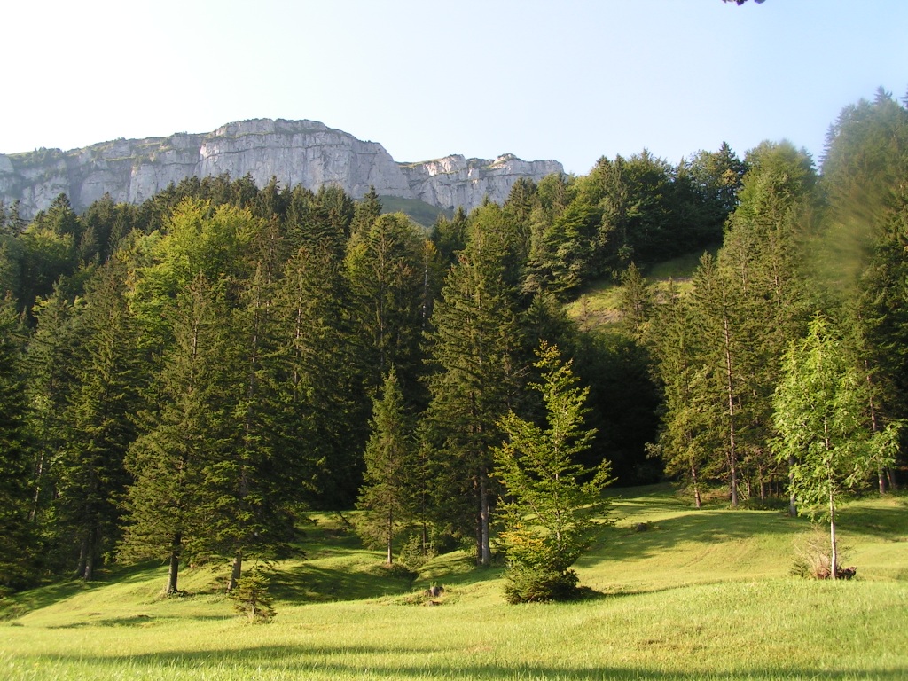 im Hintergrund der Übergang zahme Gocht