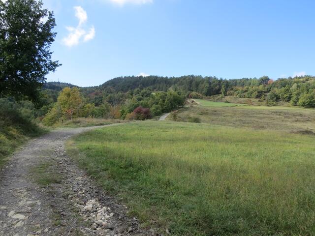 über einen ansteigenden Wanderweg, verlassen wir Monzuno