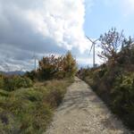 ...und erreichen beim Monte del Galletto, der höchste Punkt der heutigen Wanderung