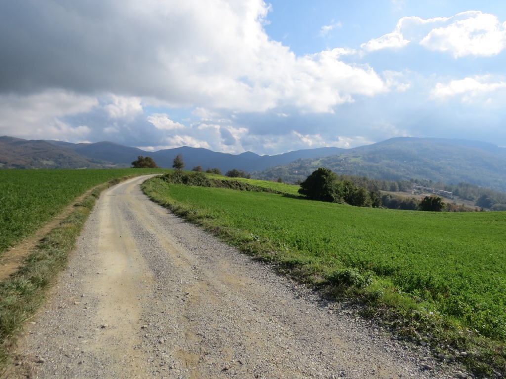 auf diesem Höhenrücken, mit traumhafter Aussicht, biegt der Wanderweg nun ins Tal hinunter