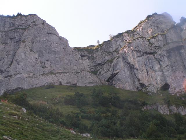 Übergang zahme Gocht