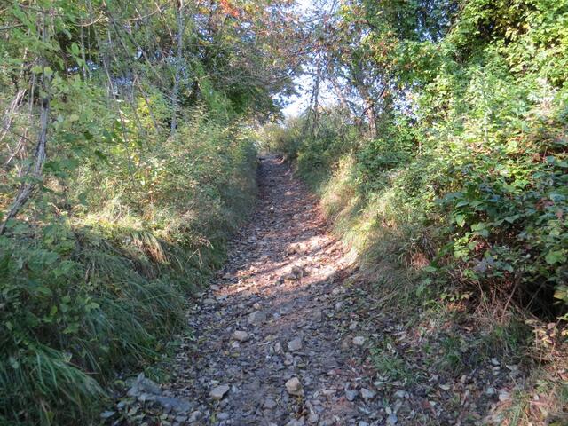 auf dem Weg zum Monte dei Cucchi