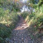 auf dem Weg zum Monte dei Cucchi