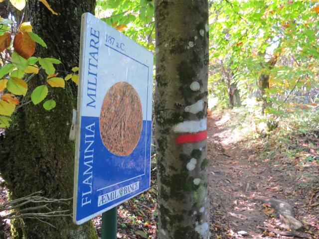 wir stossen wieder auf ein Teilstück der antiken Römerstrasse Via Flaminia Militare