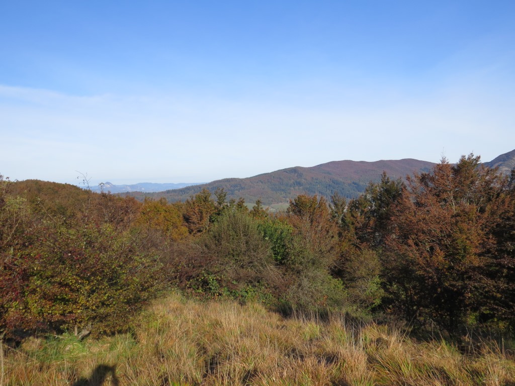 auch heute wieder Wälder, Hügel und Berge bis am Horizont