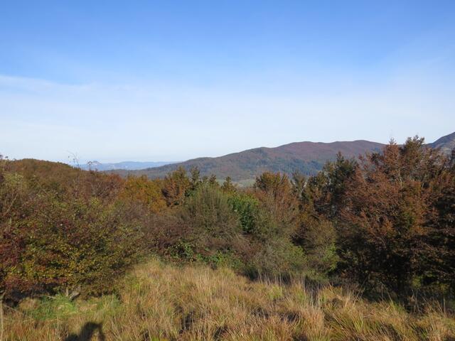 auch heute wieder Wälder, Hügel und Berge bis am Horizont