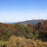 auch heute wieder Wälder, Hügel und Berge bis am Horizont