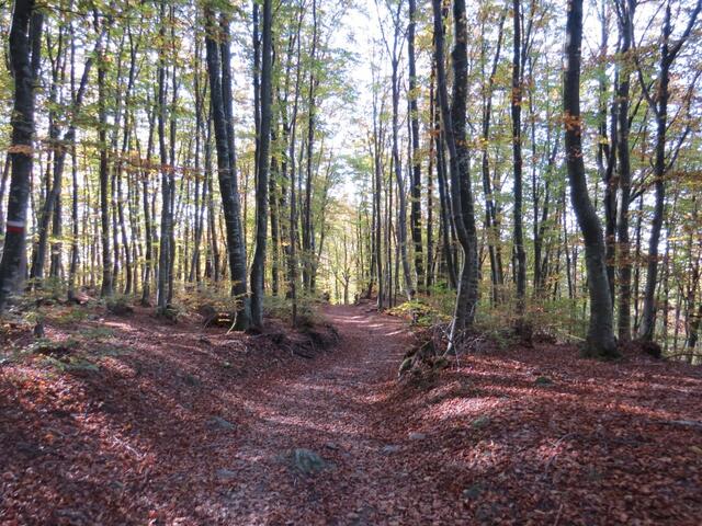 beim Monte Gazzaro erreichen wir den höchsten Punkt der heutigen Wanderung