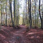 beim Monte Gazzaro erreichen wir den höchsten Punkt der heutigen Wanderung