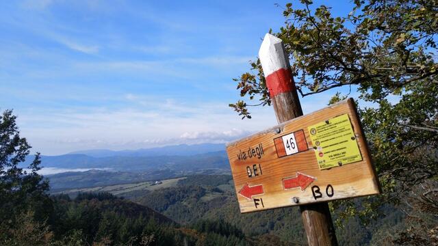 auch heute wieder ein traumhafter Wandertag