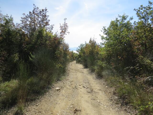 ...verlieren weiter an Höhe, und verlassen schlussendlich den Wald