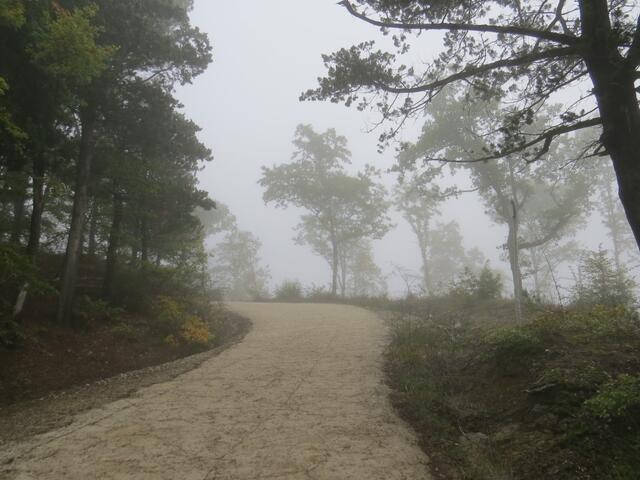 im Nebel zu laufen ist immer etwas spezielles