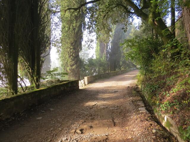 auf dem Weg nach Tagliaferro