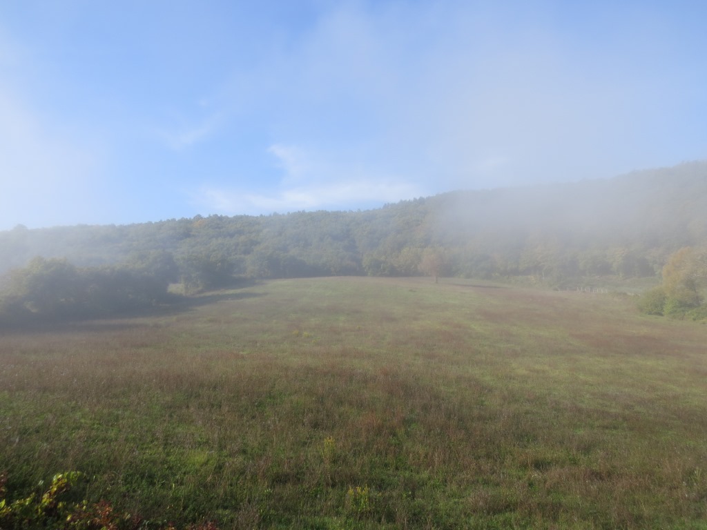 speziell an der Grenze der Nebeldecke zu wandern