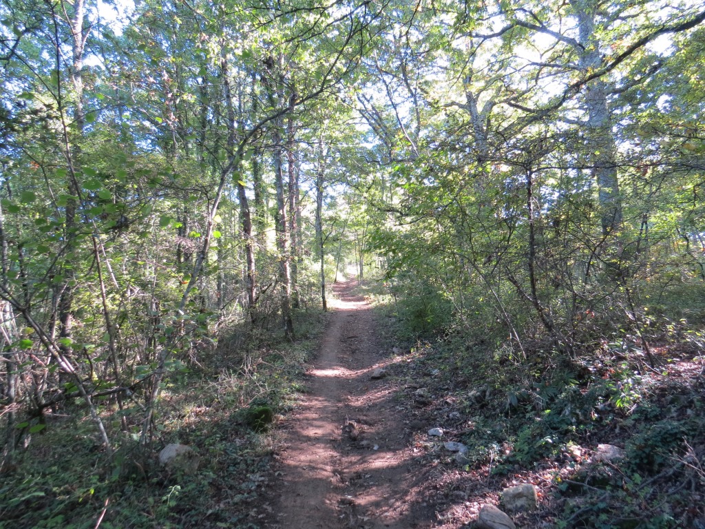 ...und durch Wälder geht es weiter