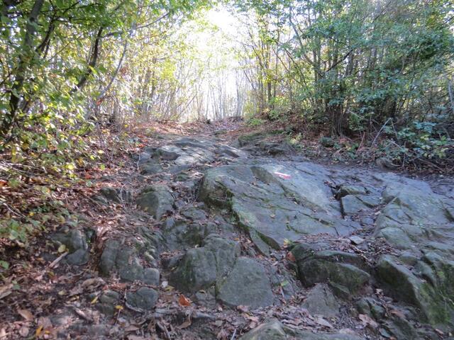 ruppig führt der Waldweg nun aufwärts