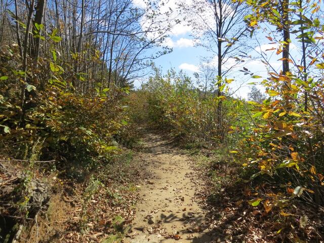 wir erreichen den Monte Senario und gleichzeitig den höchsten Punkt der heutigen Wanderung