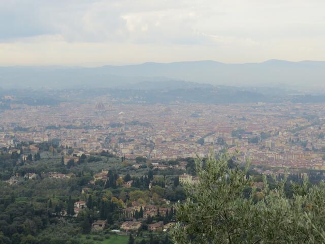 blick auf Firenze