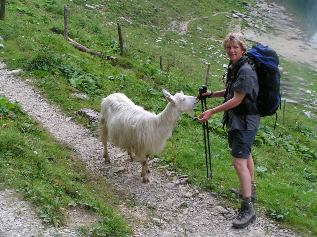 Mäusi mit Ziegen