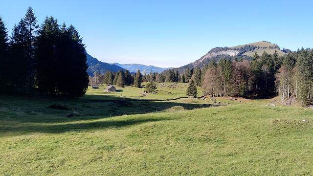 wir durchwandern die Wiesen vom sogenannten Dreckloch. Unsere Wanderschuhen sahen auch so aus