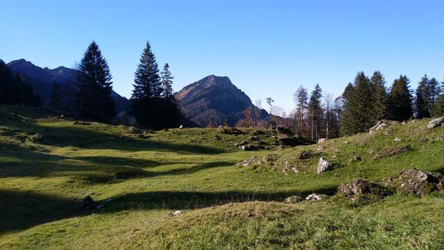 beim Stelzenboden...