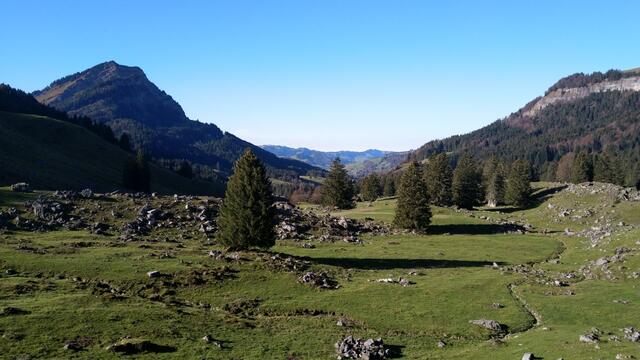 auf dem Weg Richtung Dunkelboden