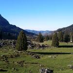 auf dem Weg Richtung Dunkelboden