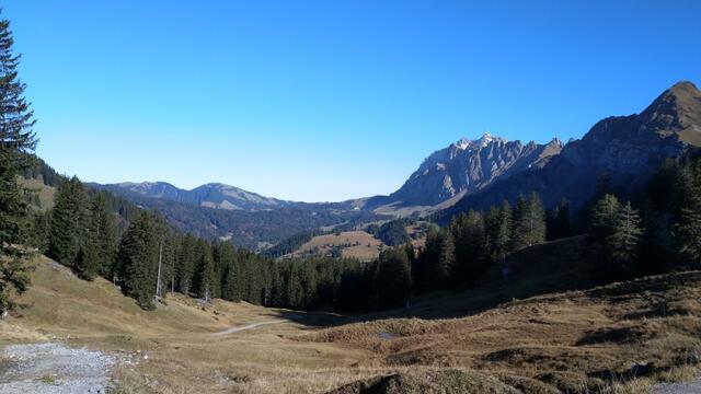 Blick vom Risipass (der höchste Punkt der heutigen Wanderung), Richtung Kronberg und Säntis