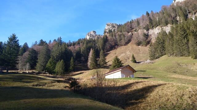 bei Böschenweid öffnet sich der Wald und wir blicken hinauf zu Goggeien, Schär und Rotberg