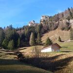 bei Böschenweid öffnet sich der Wald und wir blicken hinauf zu Goggeien, Schär und Rotberg