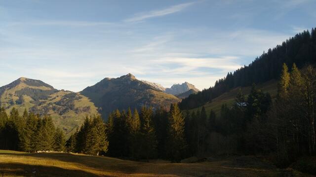 wir blicken zurück und erkennen Lütispitz, Säntis, Lisengrat, Rotsteinpass und Altmann