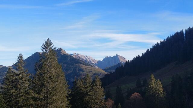 viele durchgeführte Wanderung kommen uns in den Sinn als wir Säntis, Lisengrat, Rotsteinpass und Wildhuser Schafberg erkennen