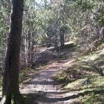 der Wanderweg führt uns nun durch den Schärswald