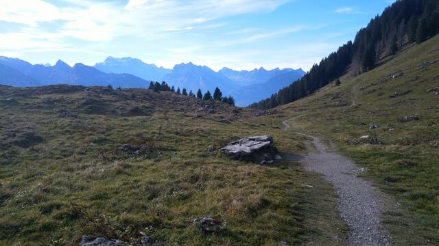 weiter geht unsere Wanderung. Wir umkreisen nun den Gulme