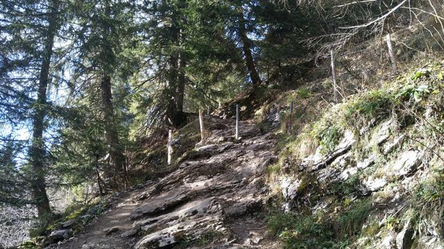 bei Gäsistei steigt der Weg wieder an und wir tauchen in den Wald hinein