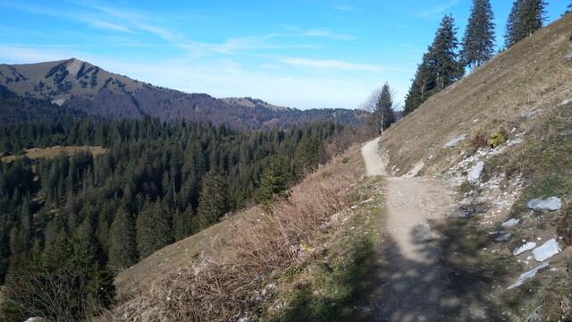 weiter geht unsere Wanderung Richtung Letzbüel