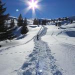 Schneeschuhtour Schwarzwaldalp - Grosse Scheidegg - Schwarzwaldalp 17.2.2019
